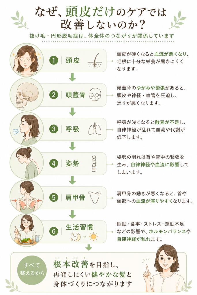 頭皮・頭蓋骨・呼吸・姿勢・肩甲骨・生活習慣の6つのつながりを示したイラスト。抜け毛・円形脱毛症は頭皮だけではなく身体全体のバランスが関係すると考える整体の概念図。千葉市美浜区稲毛海岸駅前すこやかBB腰痛整体院。