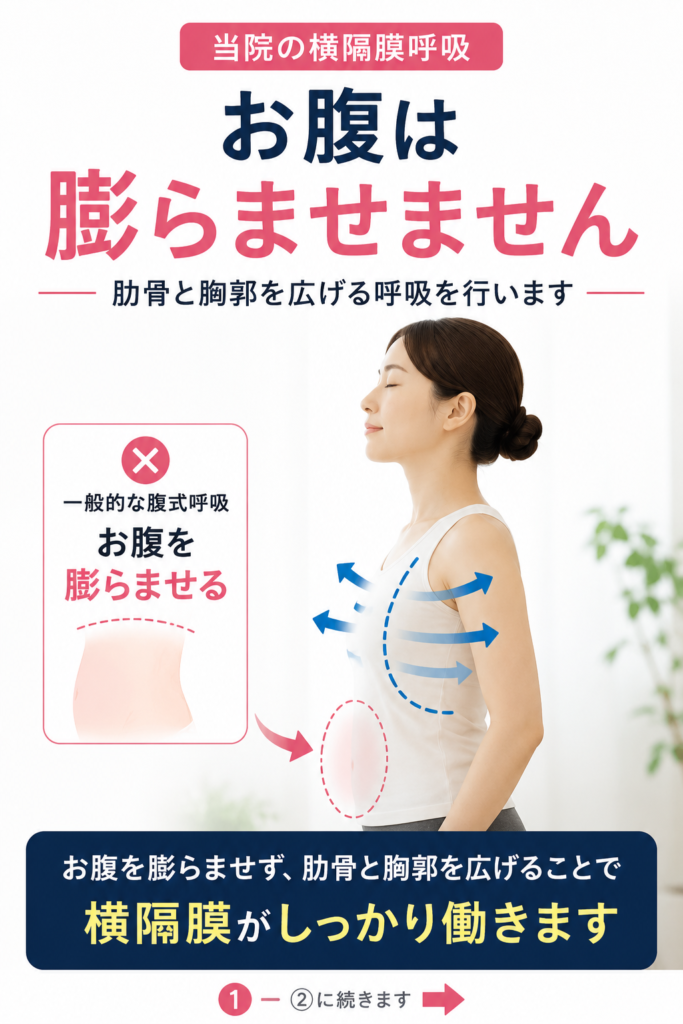 横隔膜呼吸の方法を紹介。お腹を膨らませず、肋骨と胸郭を広げる呼吸法を指導する千葉市美浜区・稲毛海岸のすこやかBB腰痛整体院。