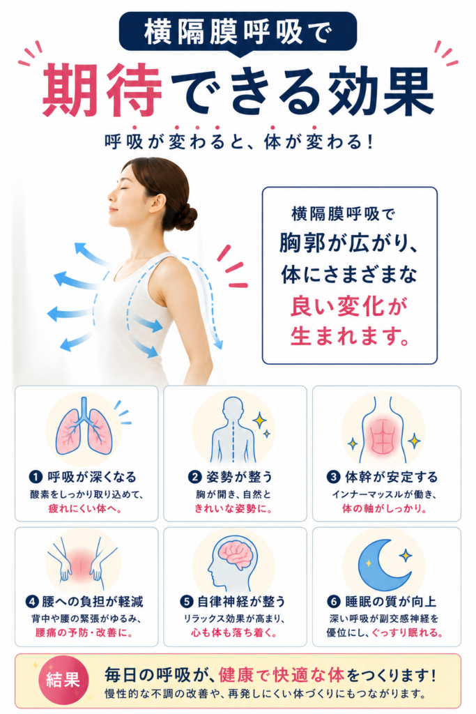 横隔膜呼吸によって期待できる姿勢改善や体幹の安定、呼吸の深まりなどを紹介したセルフケア画像。千葉市美浜区・稲毛海岸のすこやかBB腰痛整体院。
